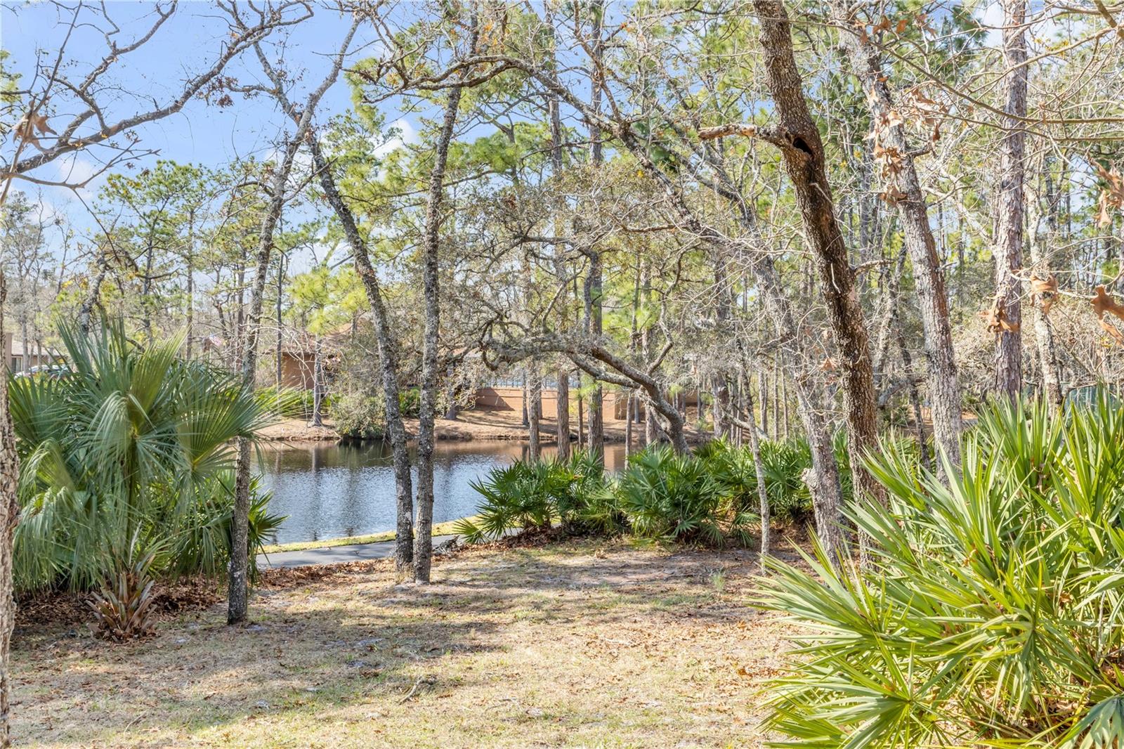 47 Crooked Pine Rd Property Photo 6