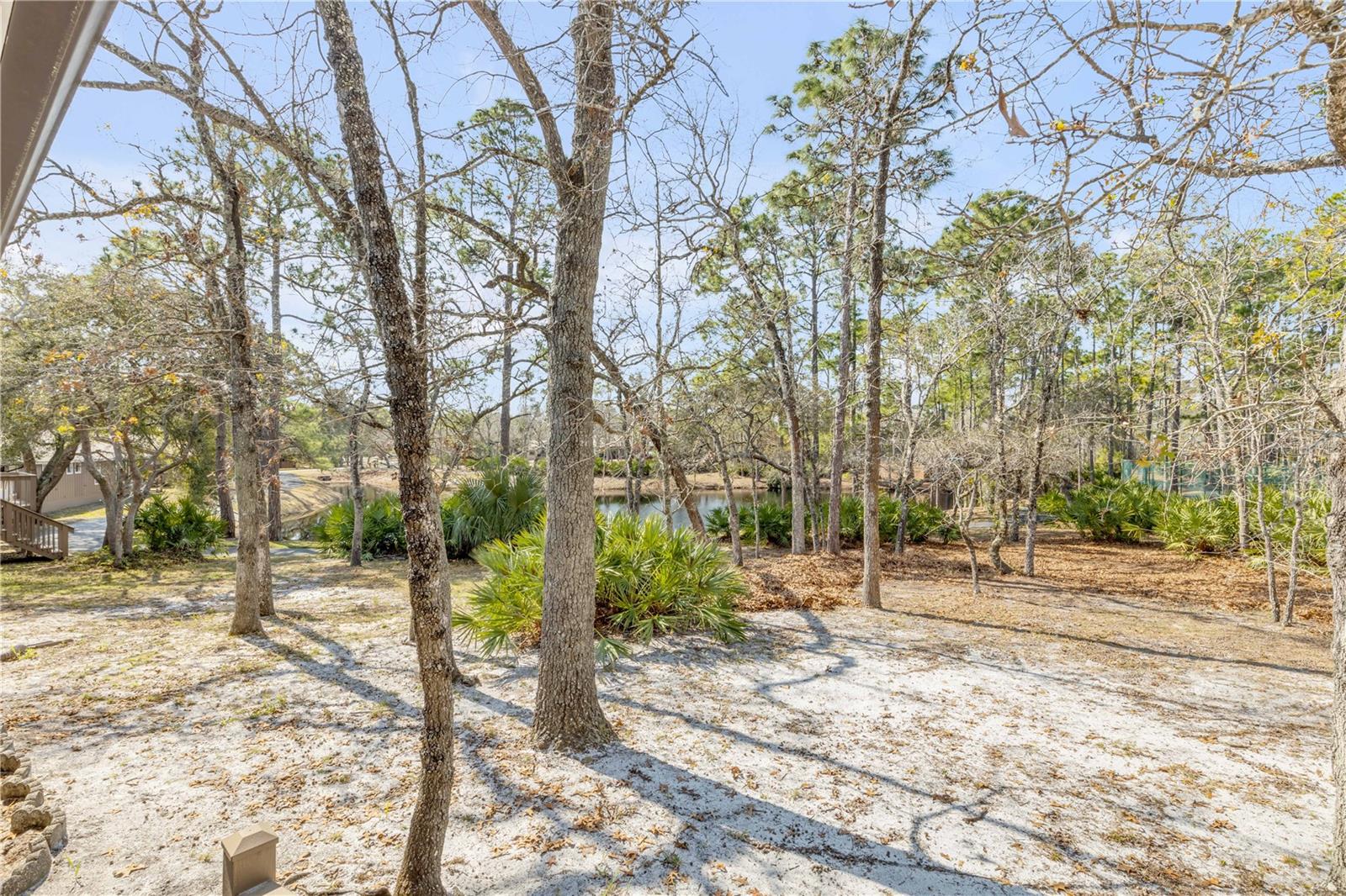 47 Crooked Pine Rd Property Photo 35
