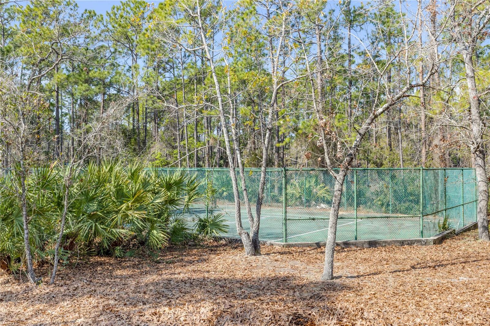 47 Crooked Pine Rd Property Photo 38