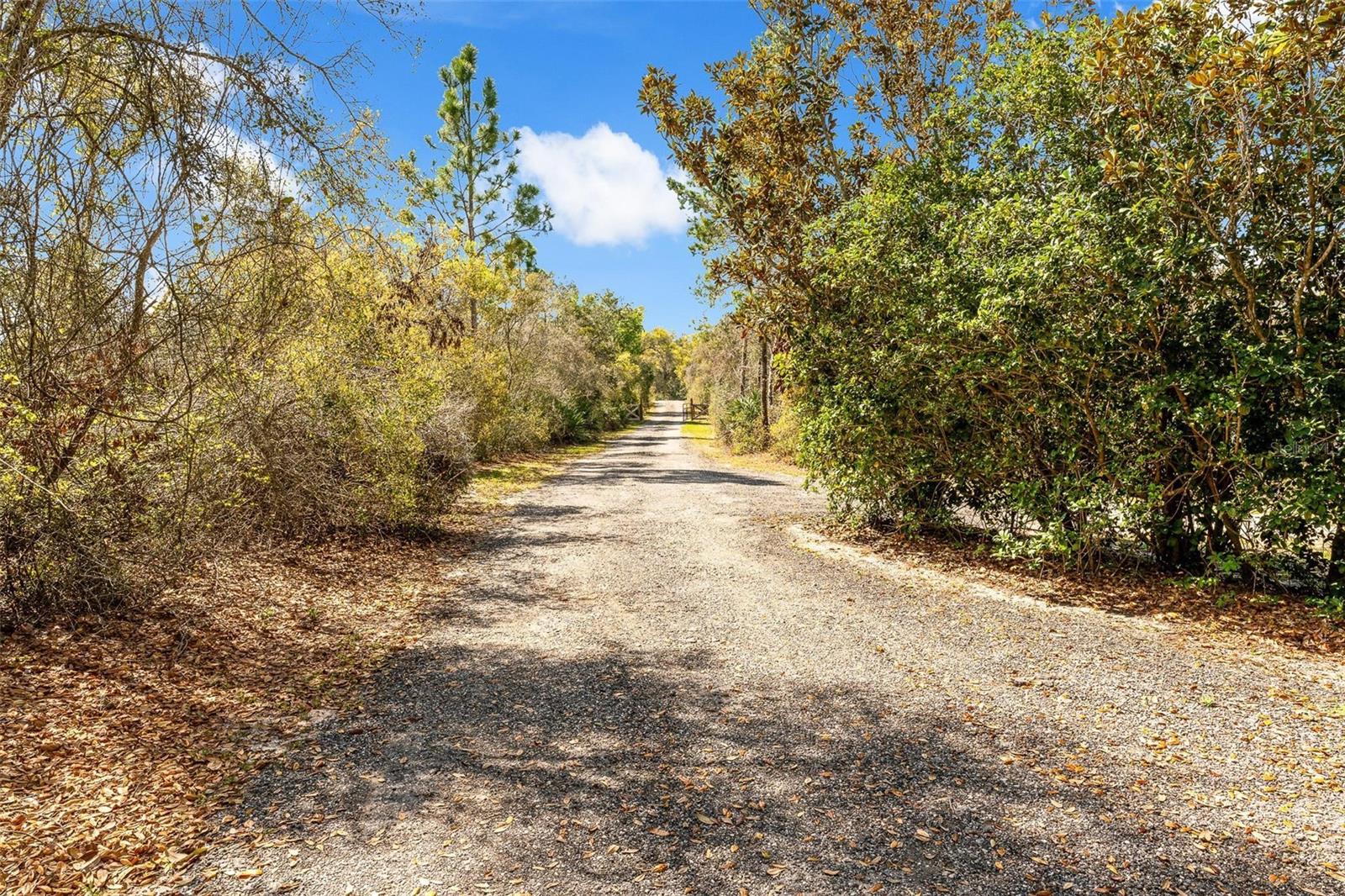 326 Enterprise Osteen Road Property Photo 28