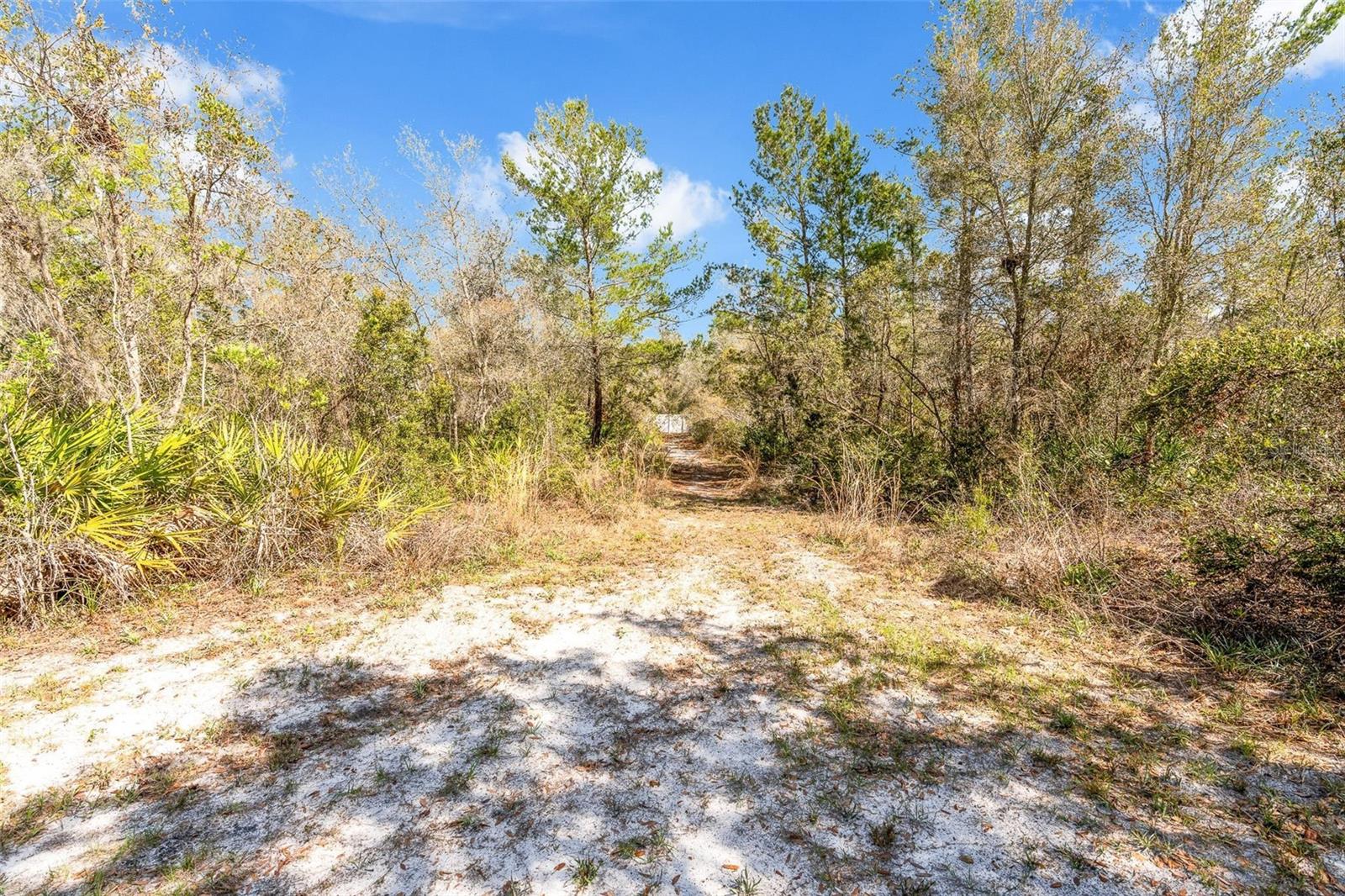 326 Enterprise Osteen Road Property Photo 31