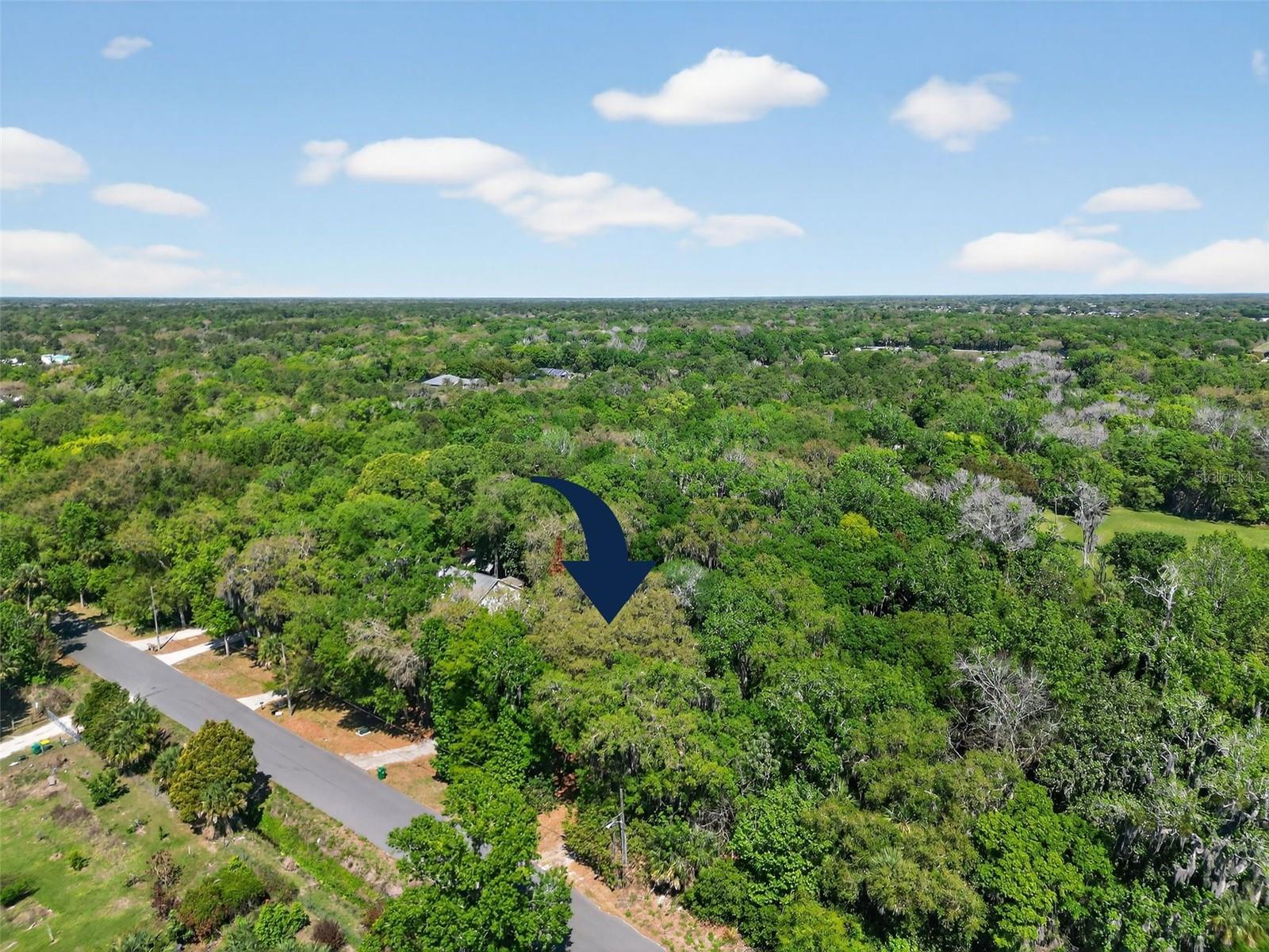 3380 Lionel Rd Property Photo 44