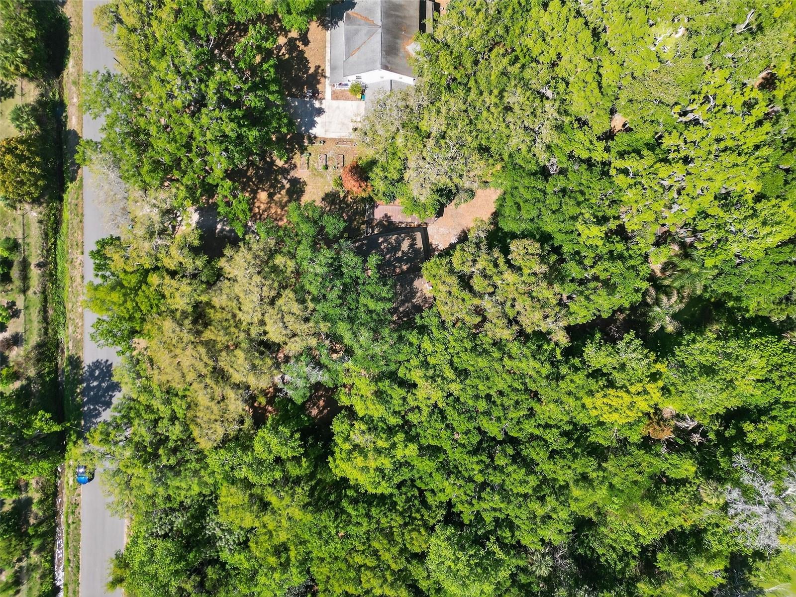 3380 Lionel Rd Property Photo 47