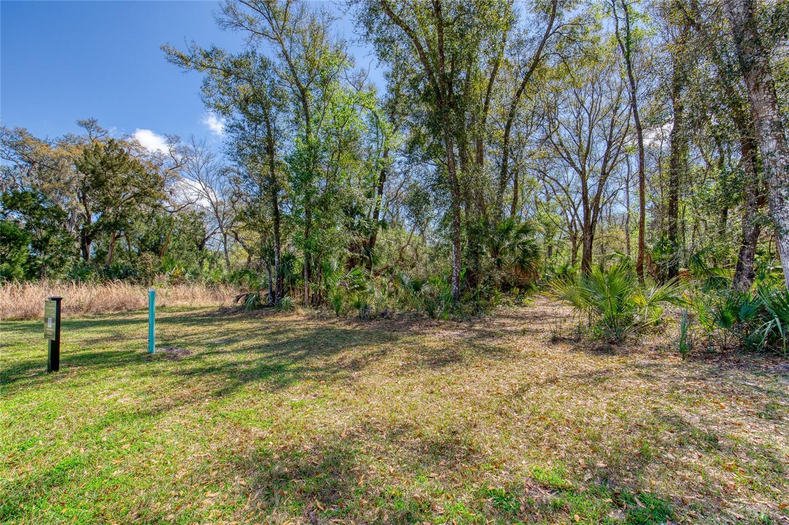 1801 Adrian Creek Blvd Property Photo 6
