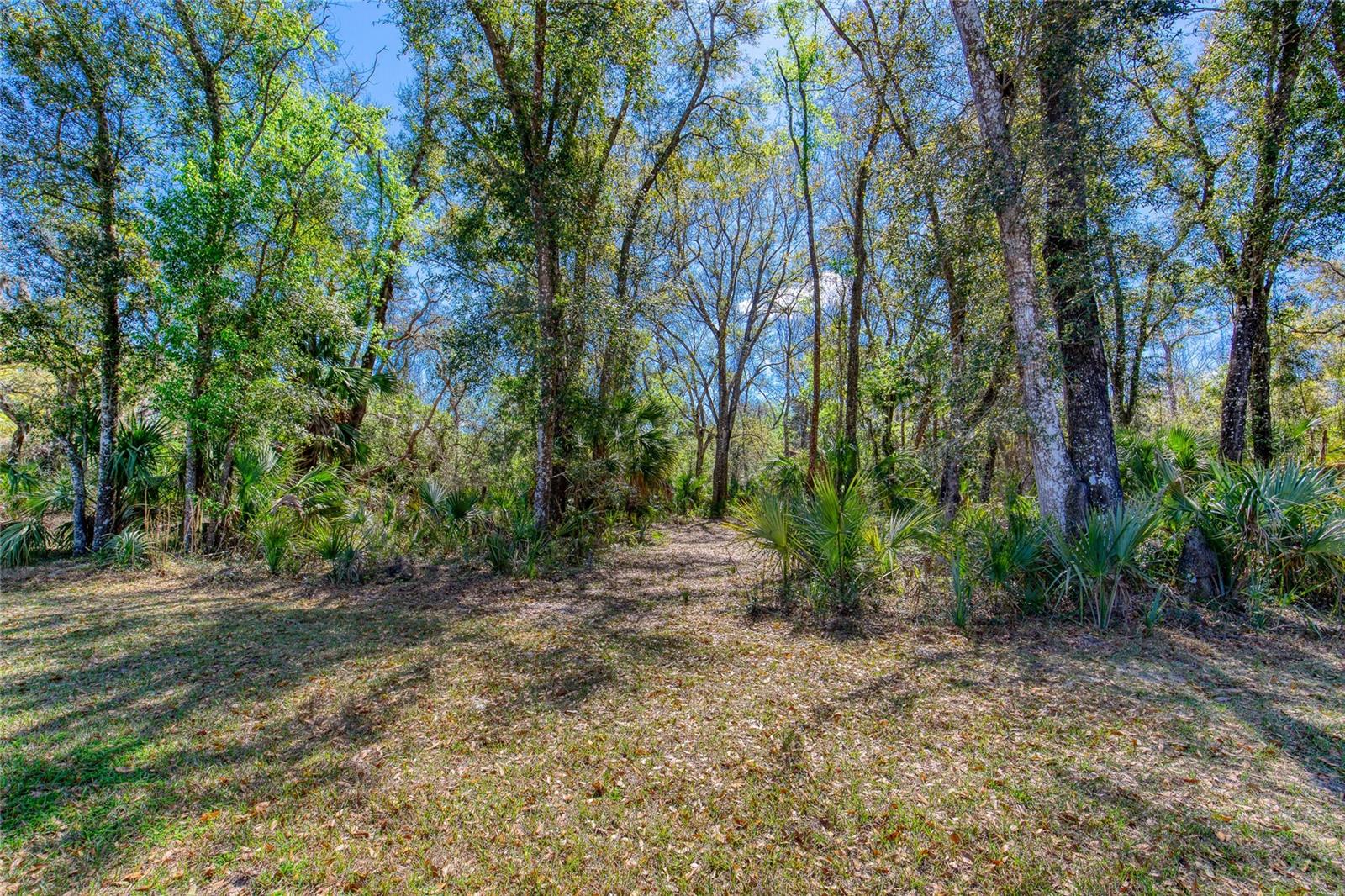 1801 Adrian Creek Blvd Property Photo 7