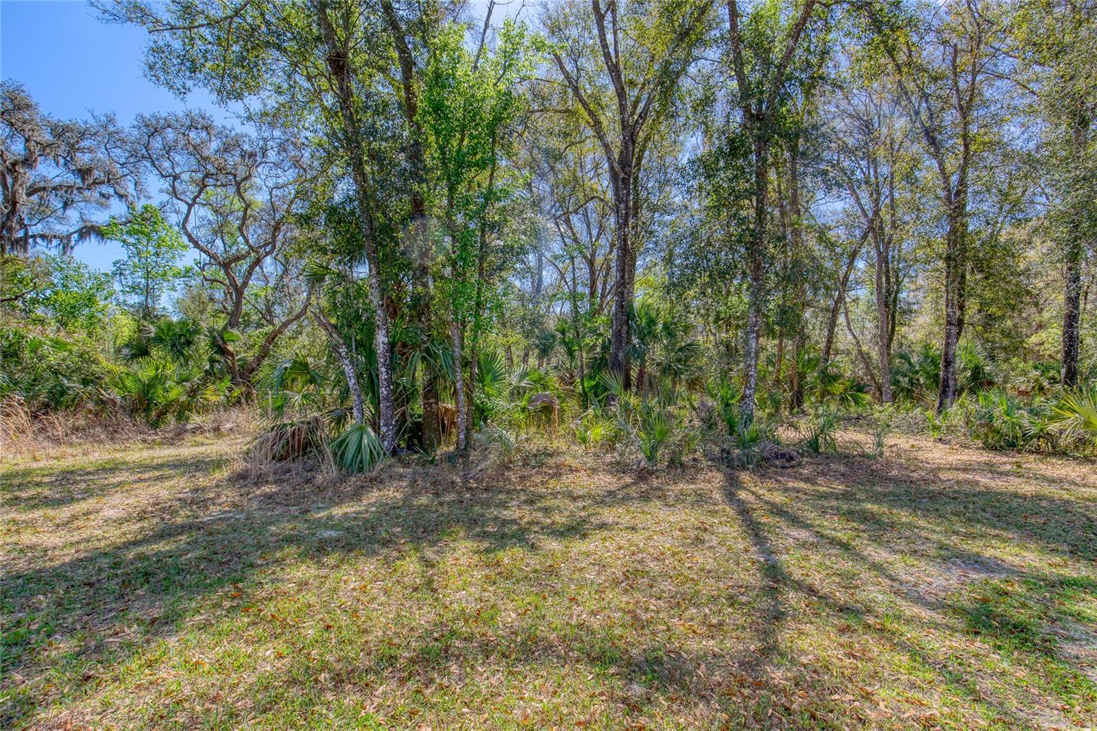 1801 Adrian Creek Blvd Property Photo 8