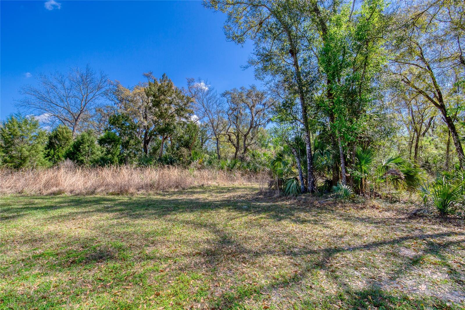 1801 Adrian Creek Blvd Property Photo 9