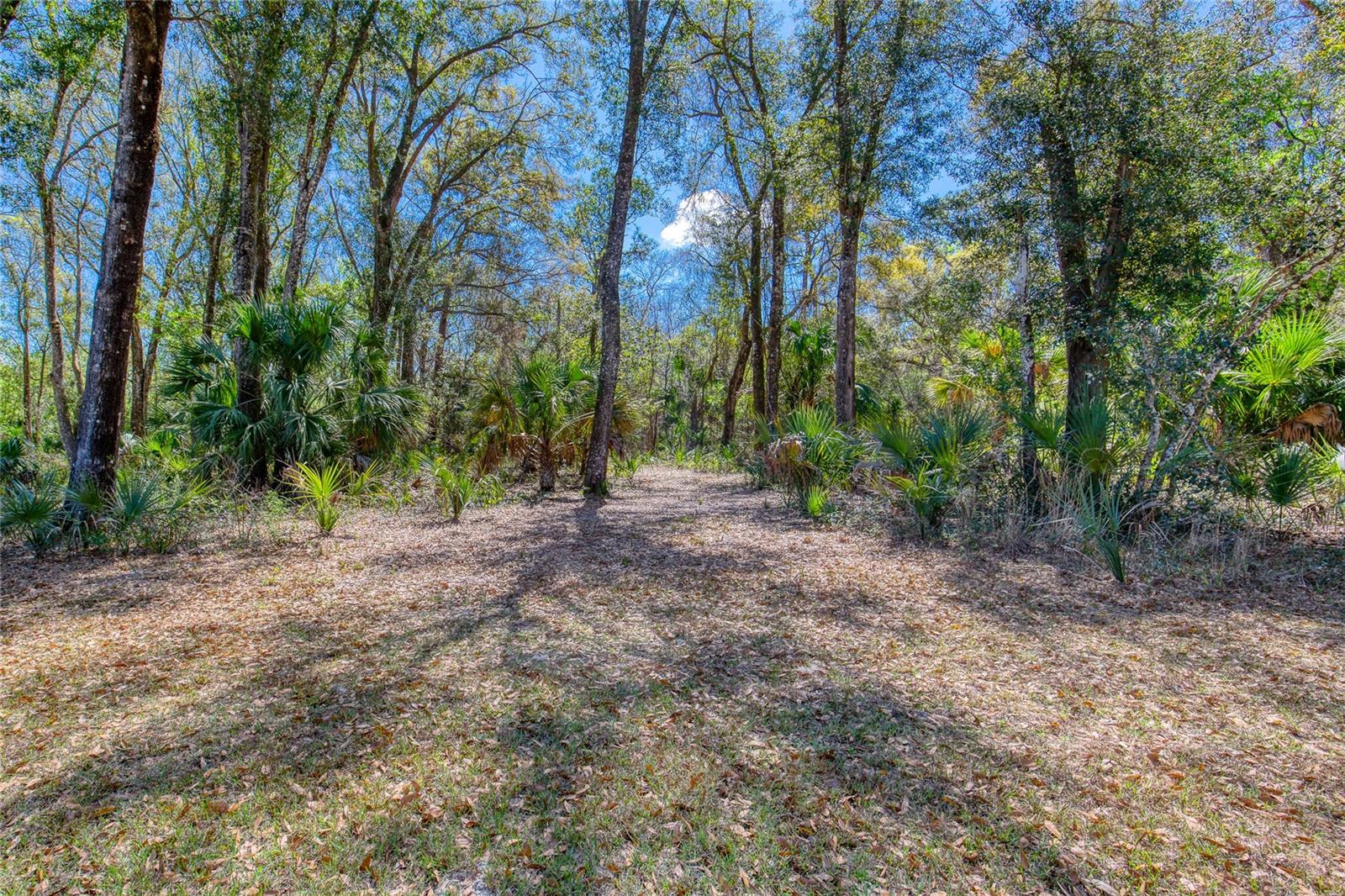 1805 Adrian Creek Blvd Property Photo 6