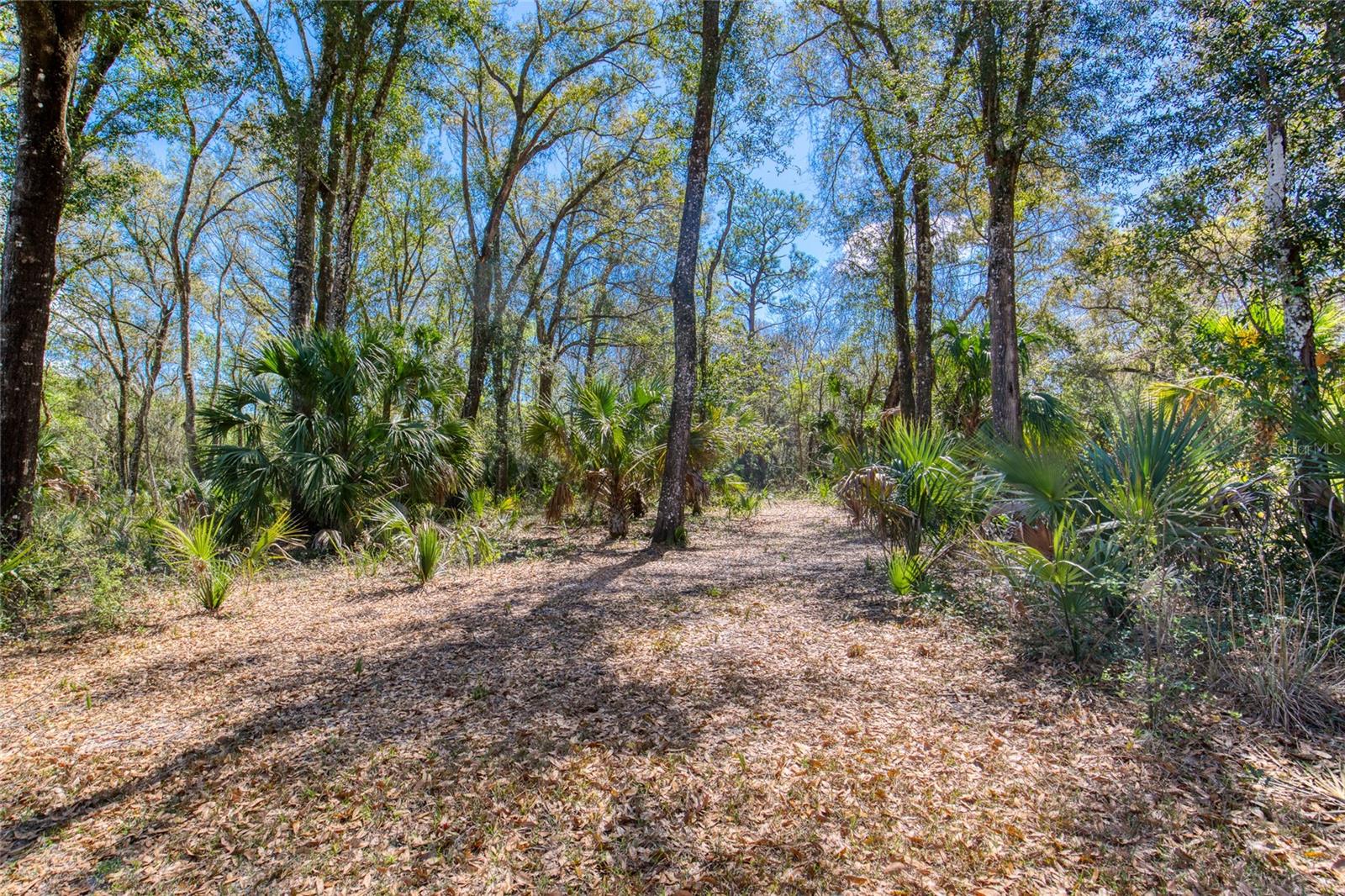 1805 Adrian Creek Blvd Property Photo 7
