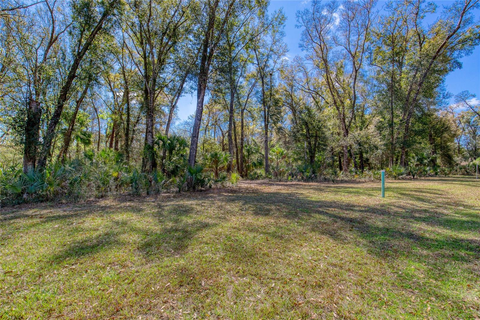 1805 Adrian Creek Blvd Property Photo 8