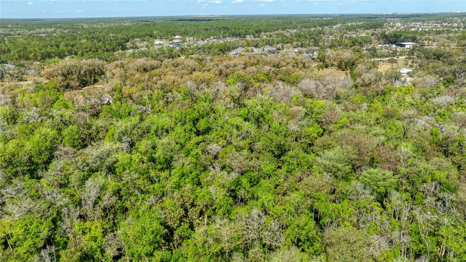 1805 Adrian Creek Blvd Property Photo 15