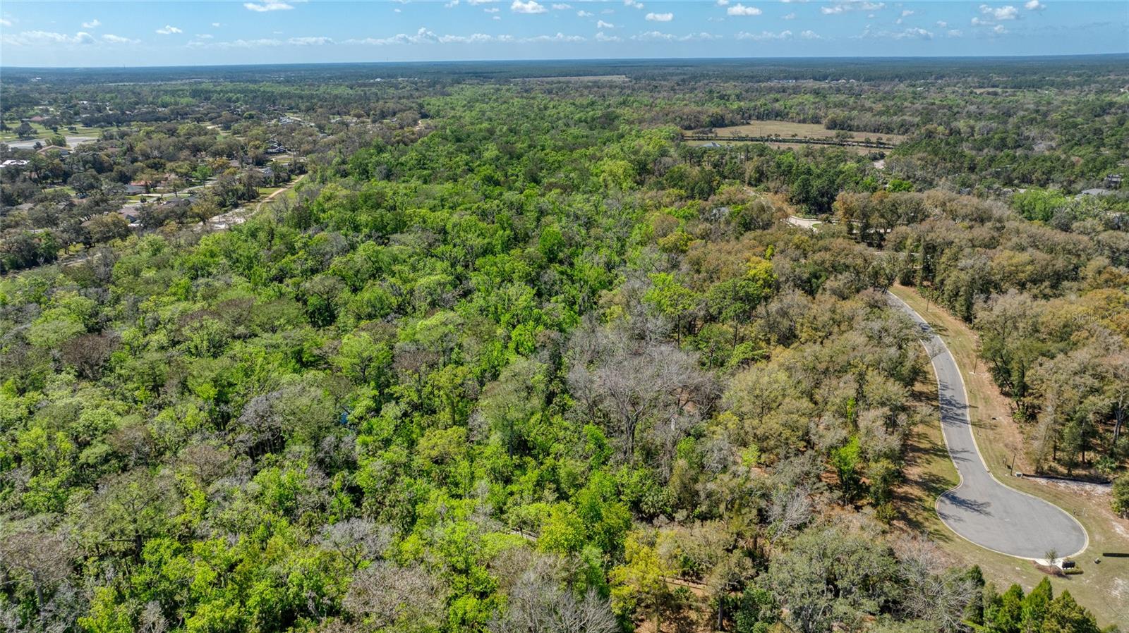 1805 Adrian Creek Blvd Property Photo 17