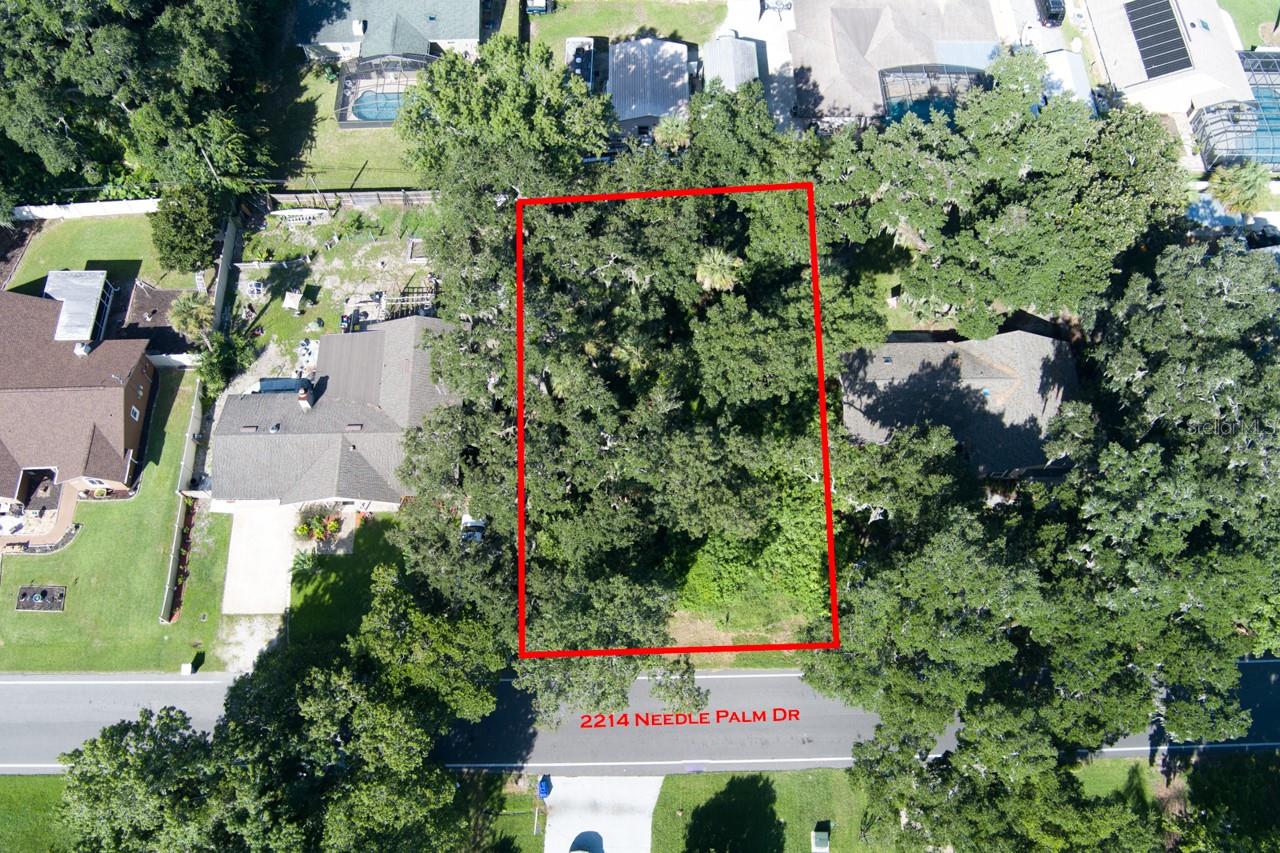 2214 Needle Palm Dr Property Photo 1