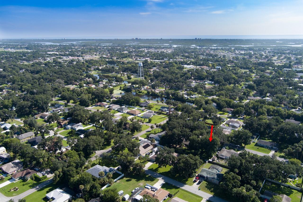 2214 Needle Palm Dr Property Photo 2