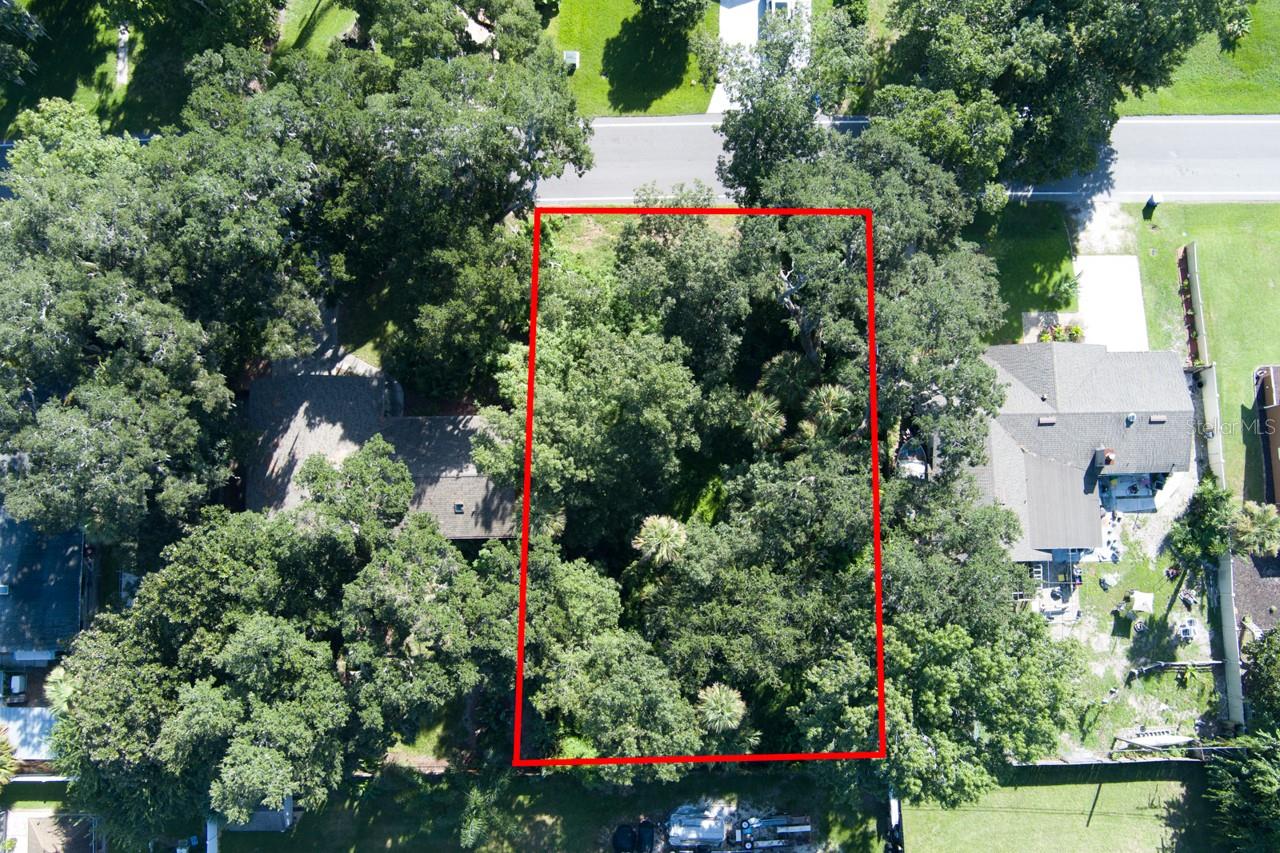 2214 Needle Palm Dr Property Photo 3