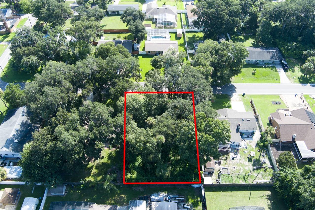 2214 Needle Palm Dr Property Photo 4