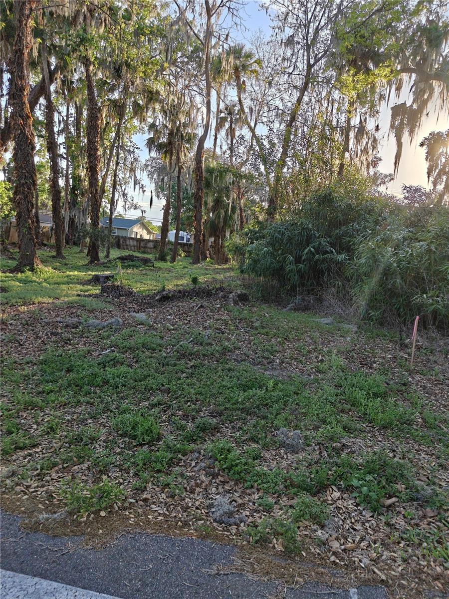 2214 Needle Palm Dr Property Photo 6