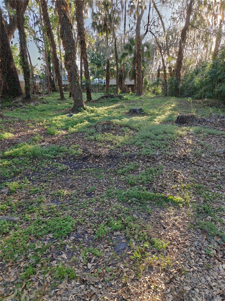 2214 Needle Palm Dr Property Photo 8