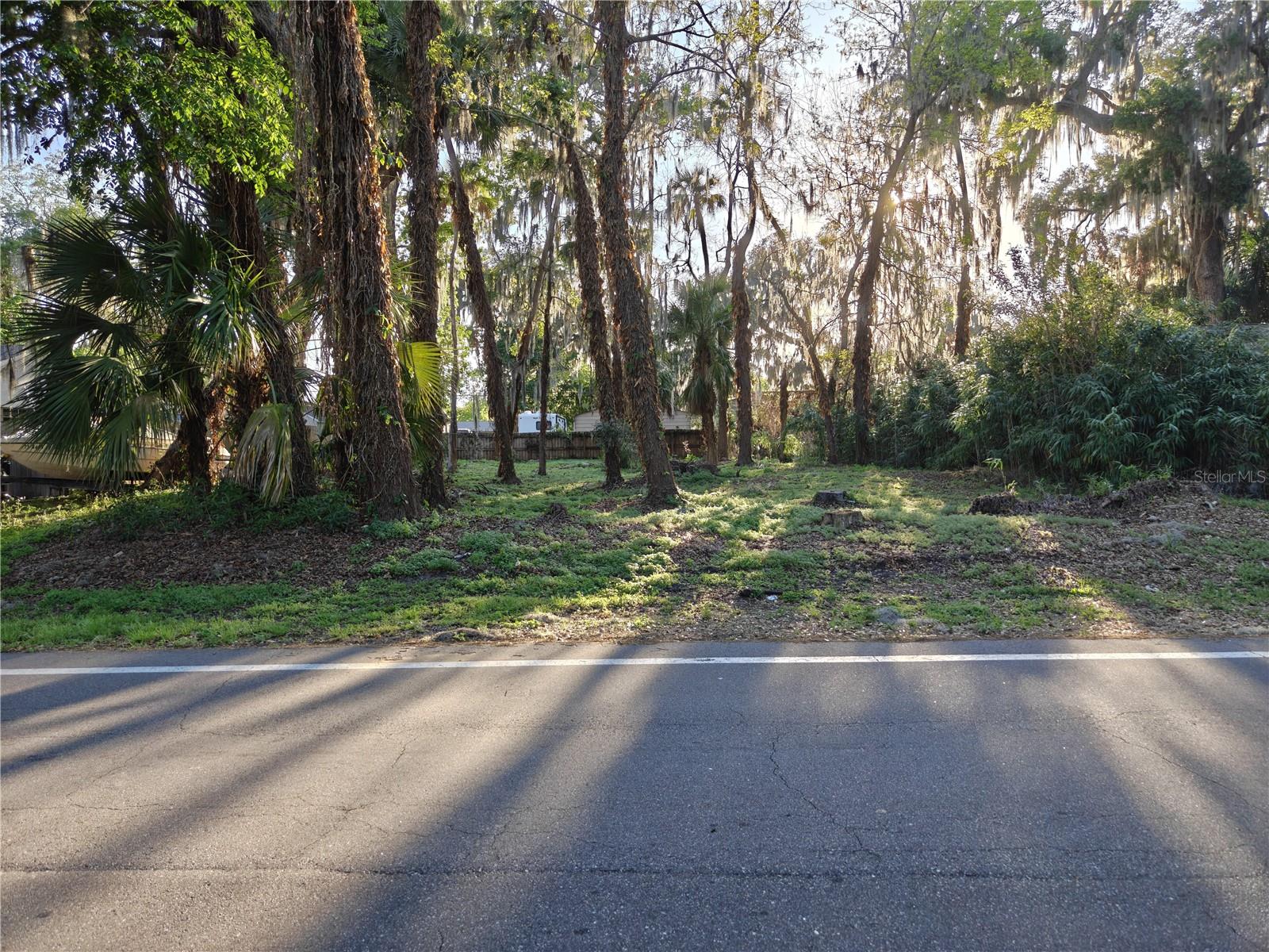2214 Needle Palm Dr Property Photo 9