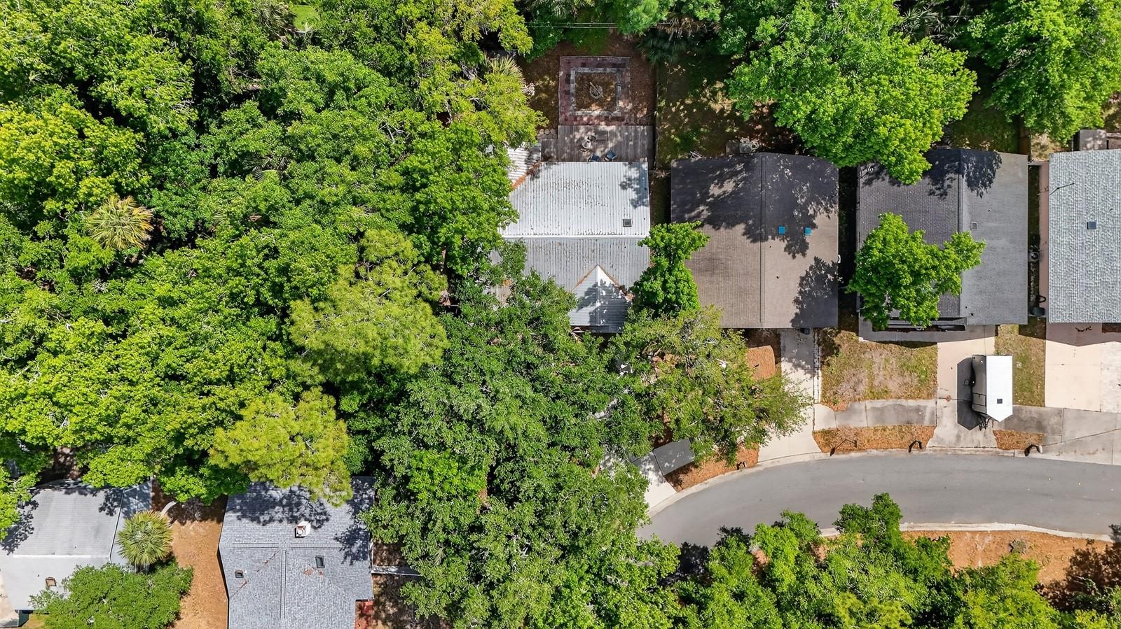 3639 Old Hammock Rd Property Photo 41