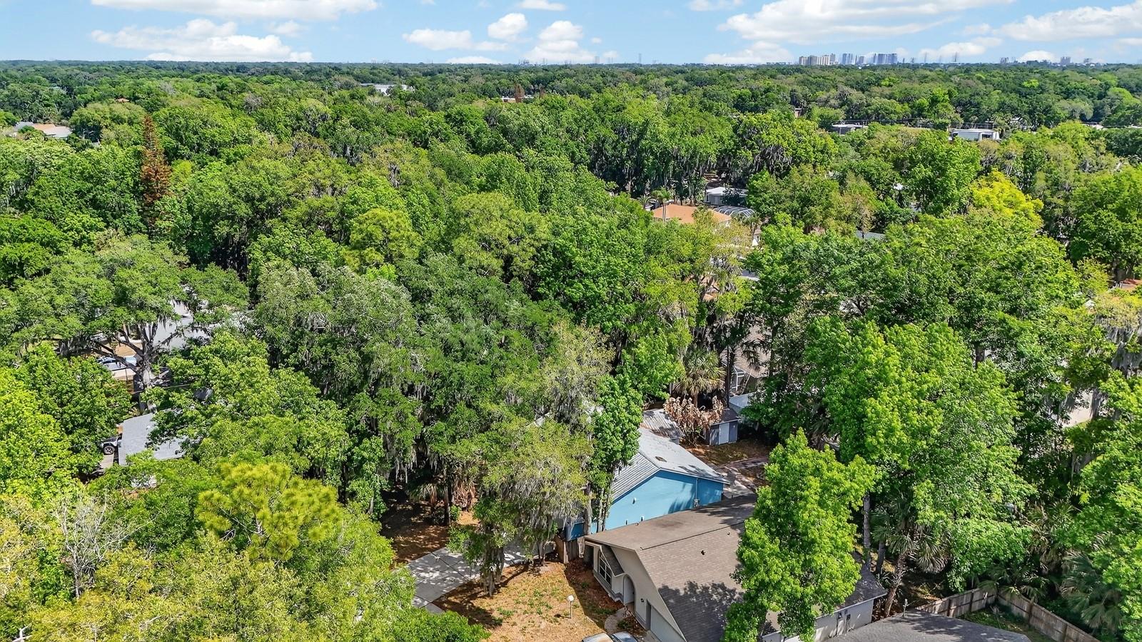 3639 Old Hammock Rd Property Photo 43