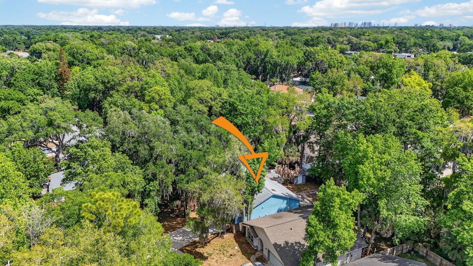 3639 Old Hammock Rd Property Photo 44