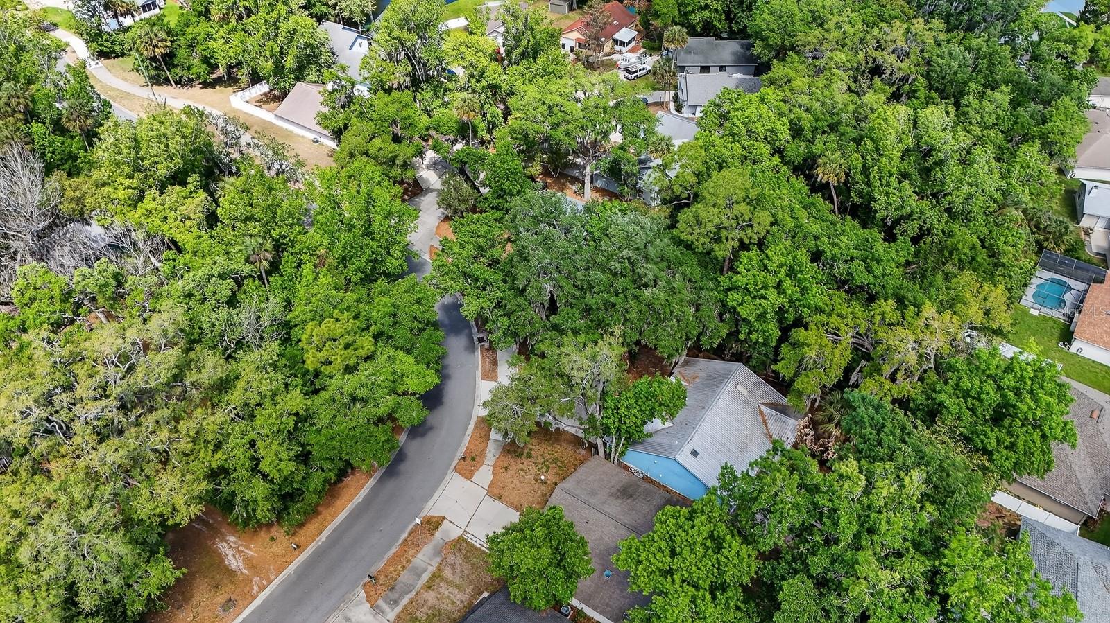 3639 Old Hammock Rd Property Photo 48