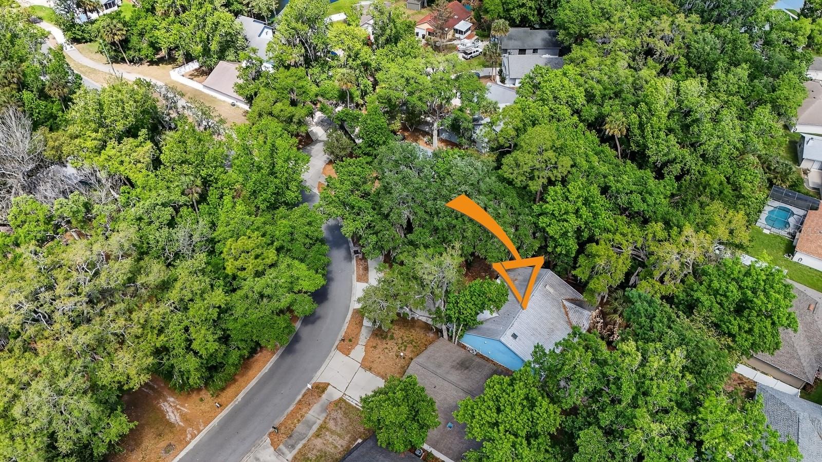 3639 Old Hammock Rd Property Photo 49