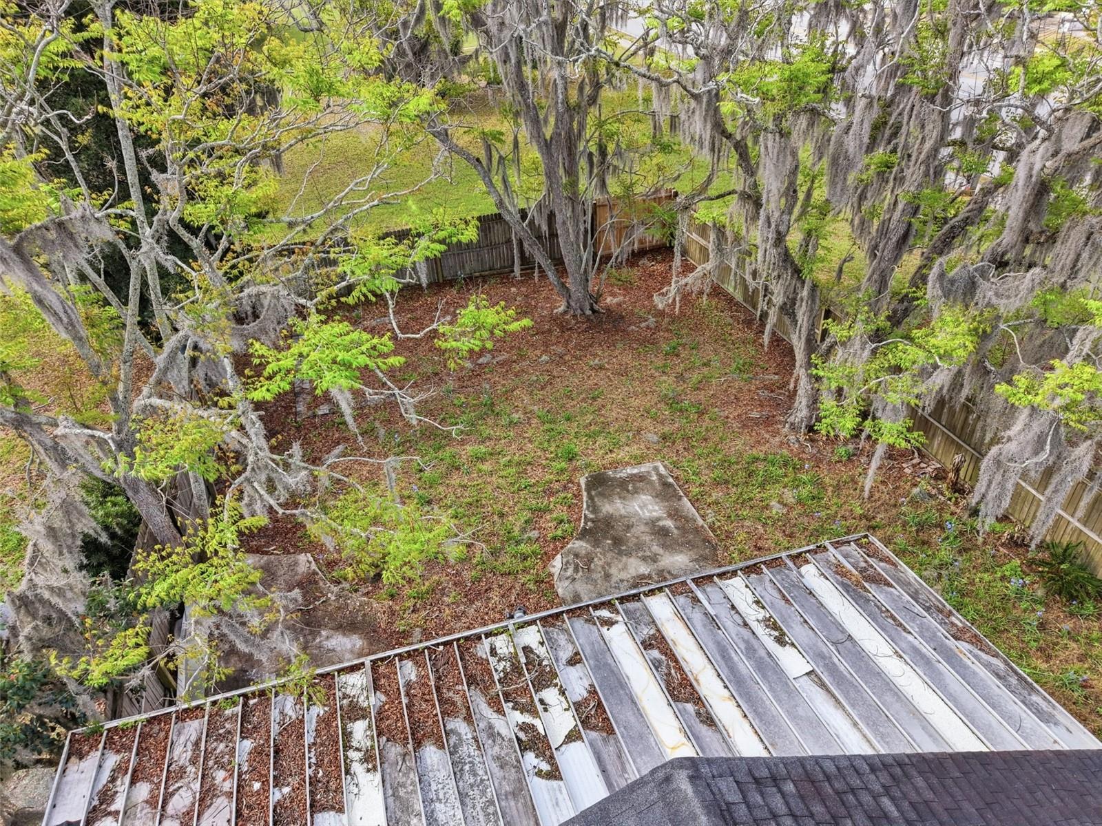 1030 Camphor Ln Property Photo 31