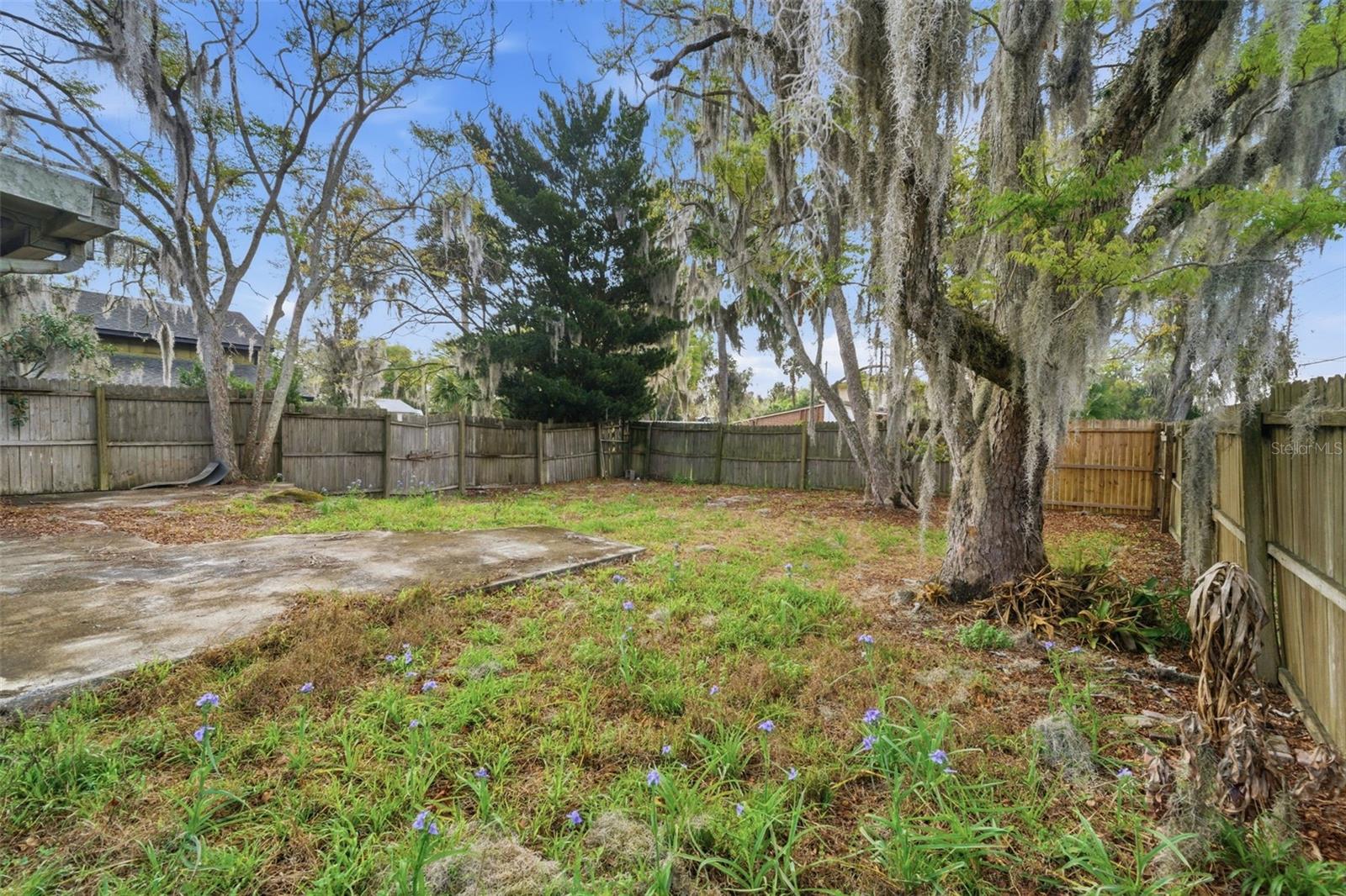 1030 Camphor Ln Property Photo 35