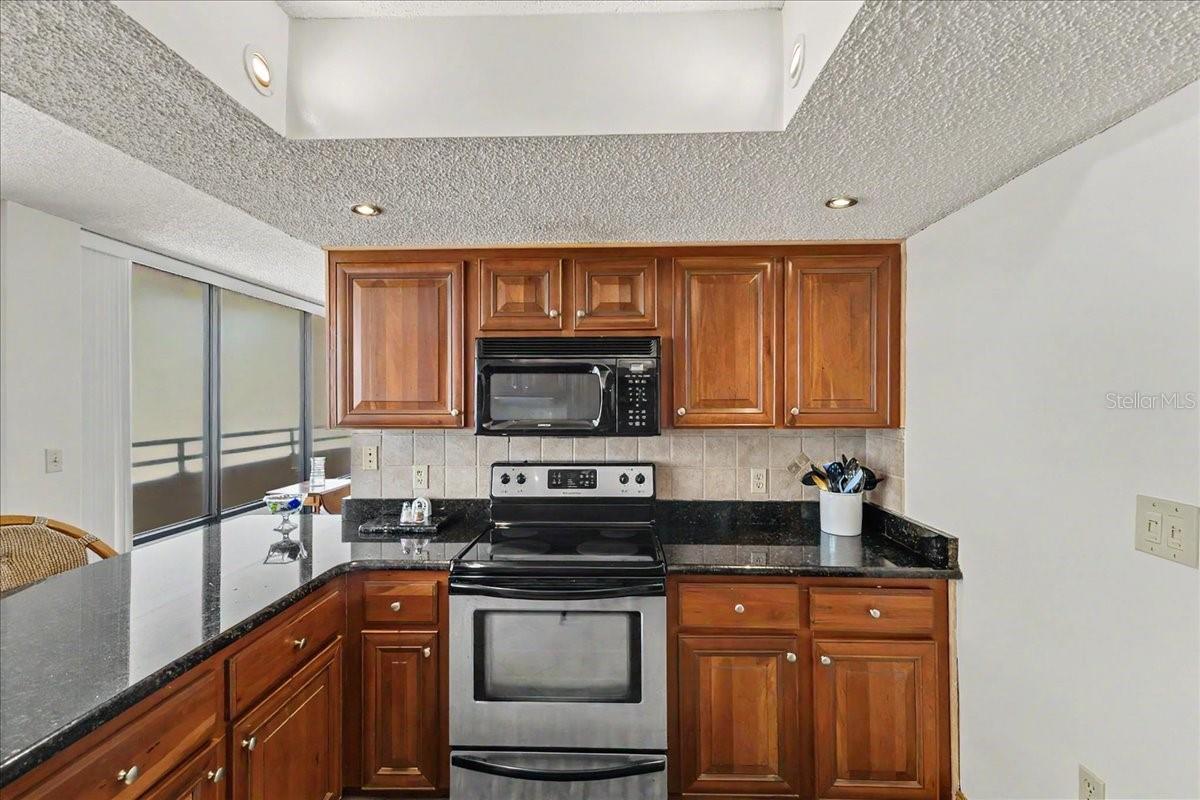 3743 S Atlantic Ave #10b0 Property Photo 25