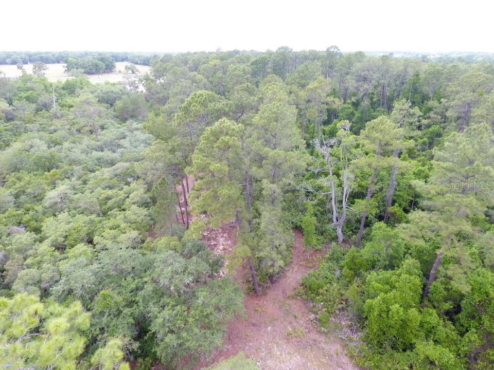 161 Snake Hill Rd Property Photo 1