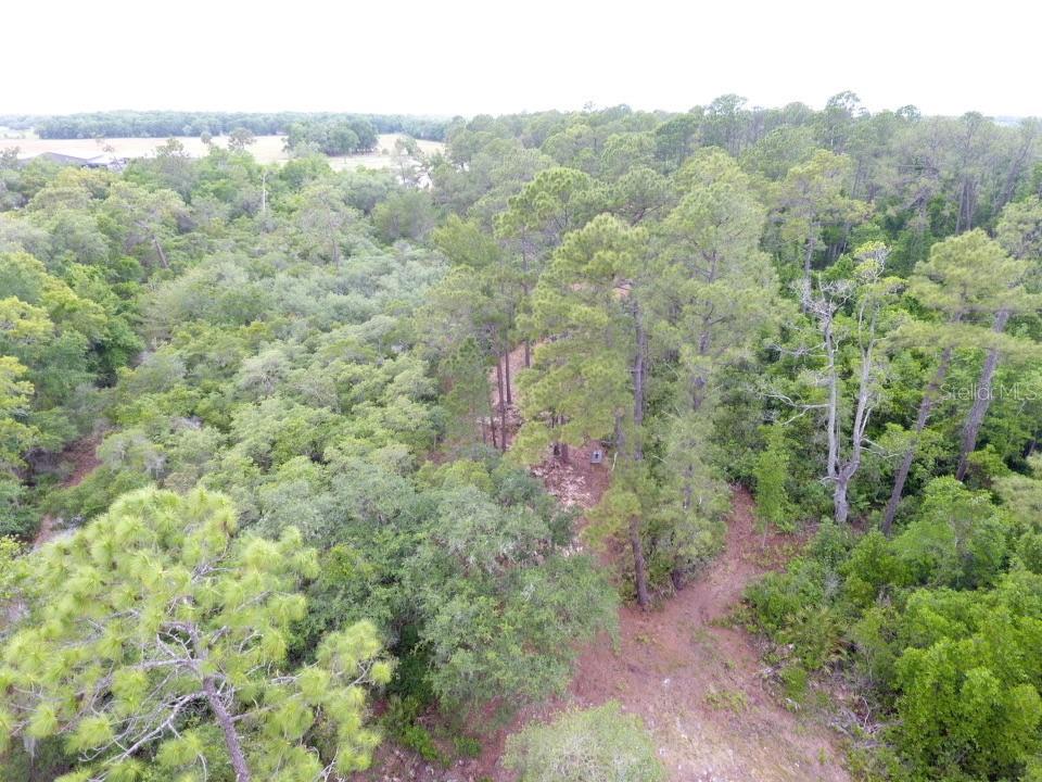 155 SNAKE HILL RD