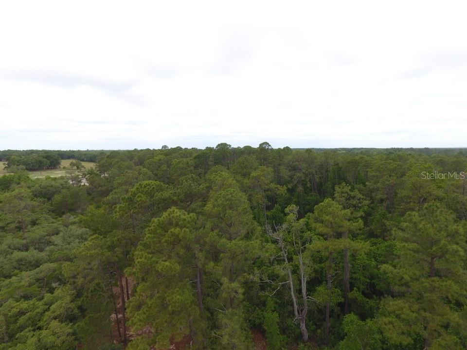 155 Snake Hill Rd Property Photo 3