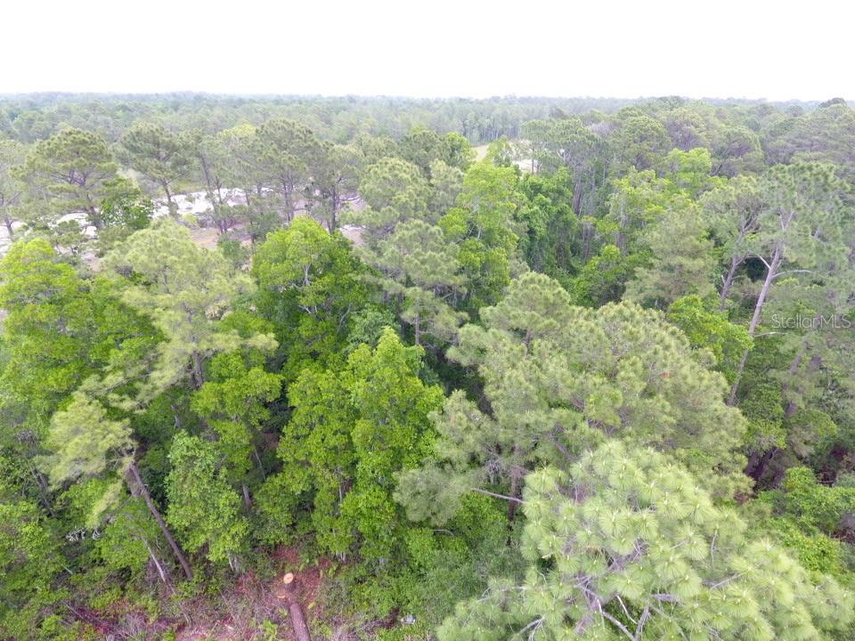 155 Snake Hill Rd Property Photo 4
