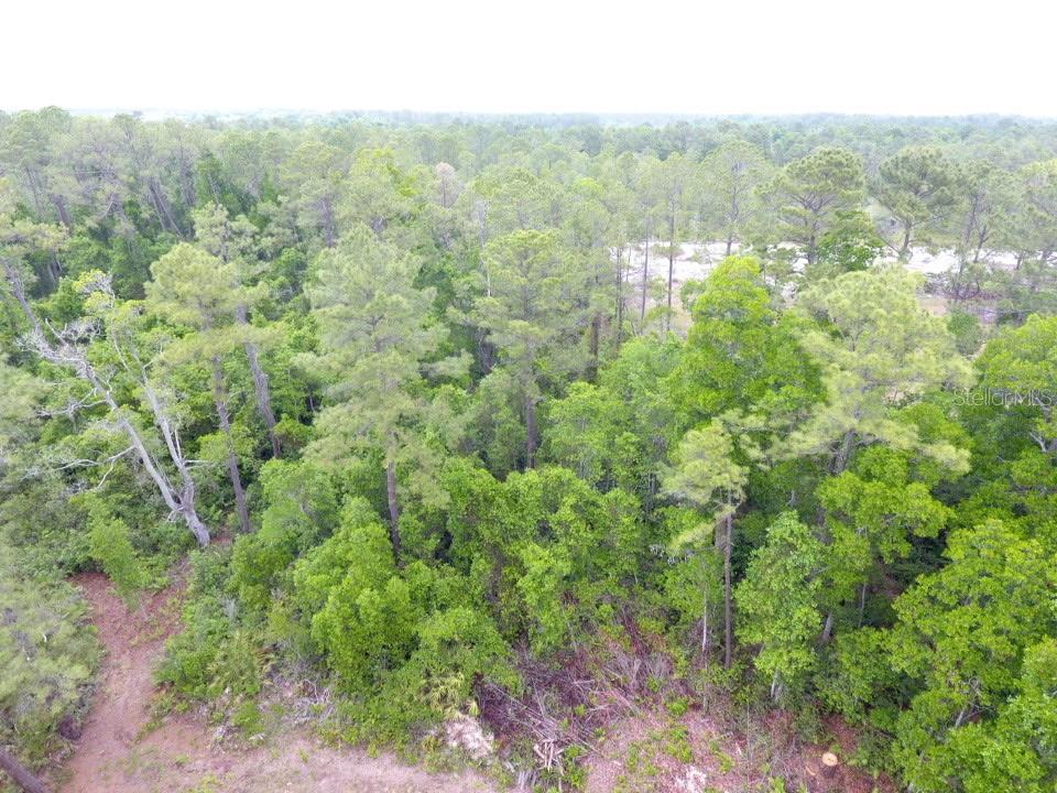 155 Snake Hill Rd Property Photo 5