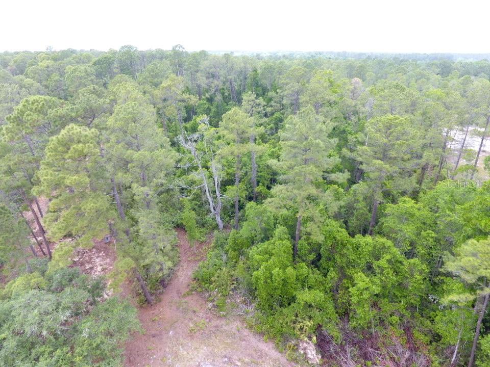155 Snake Hill Rd Property Photo 6