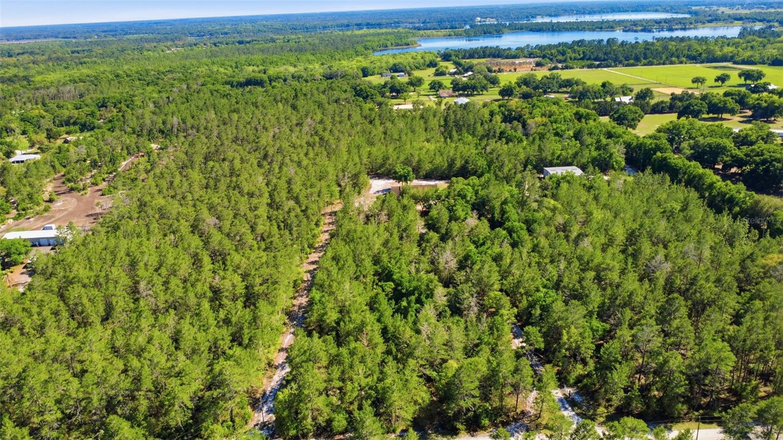 1640 Red Dog Rd Property Photo 11