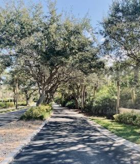 250 Minorca Beach Way #203 Property Photo 21