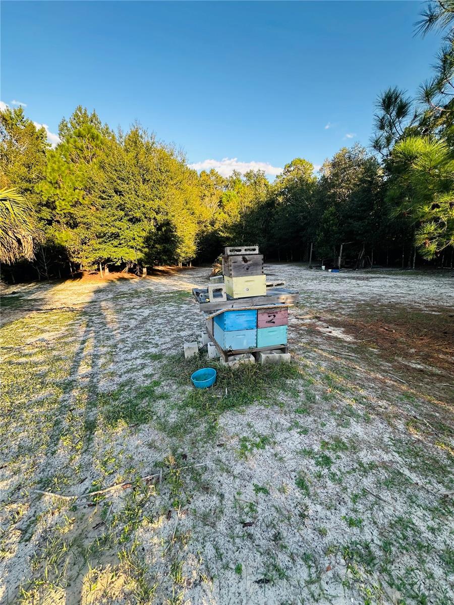 1889 Ranchland Trl Property Photo 46