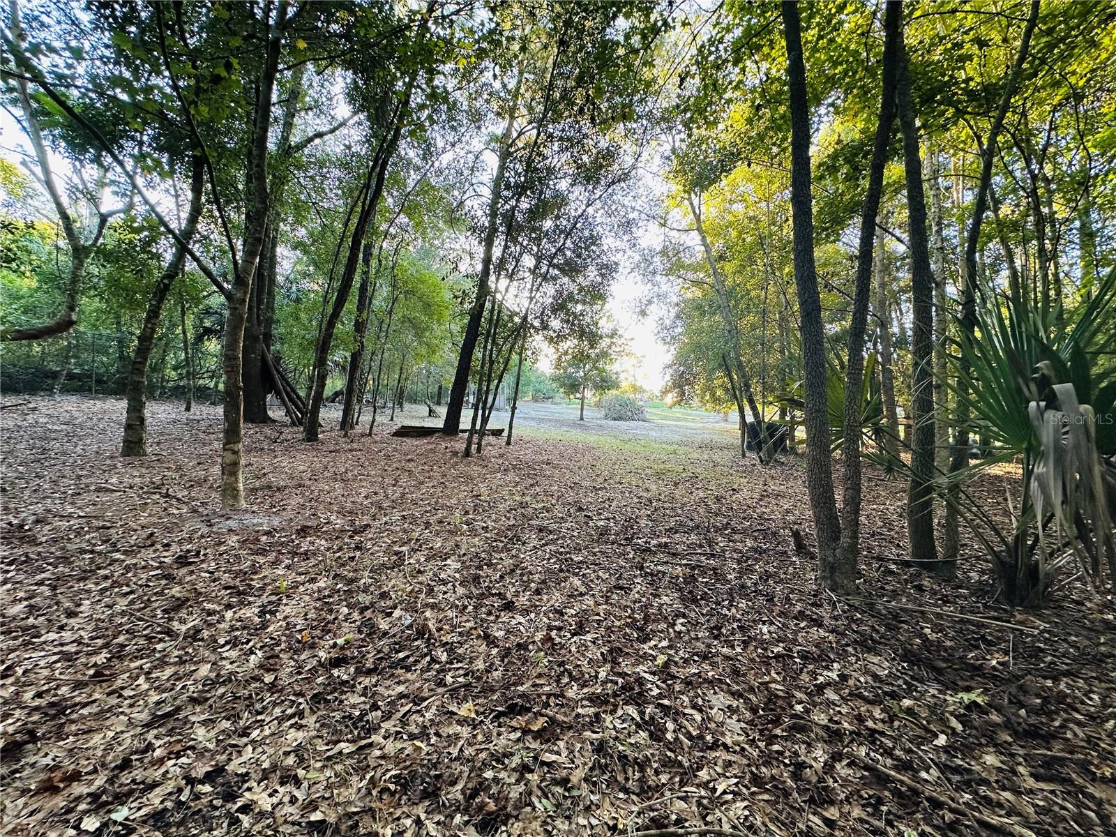 1889 Ranchland Trl Property Photo 47