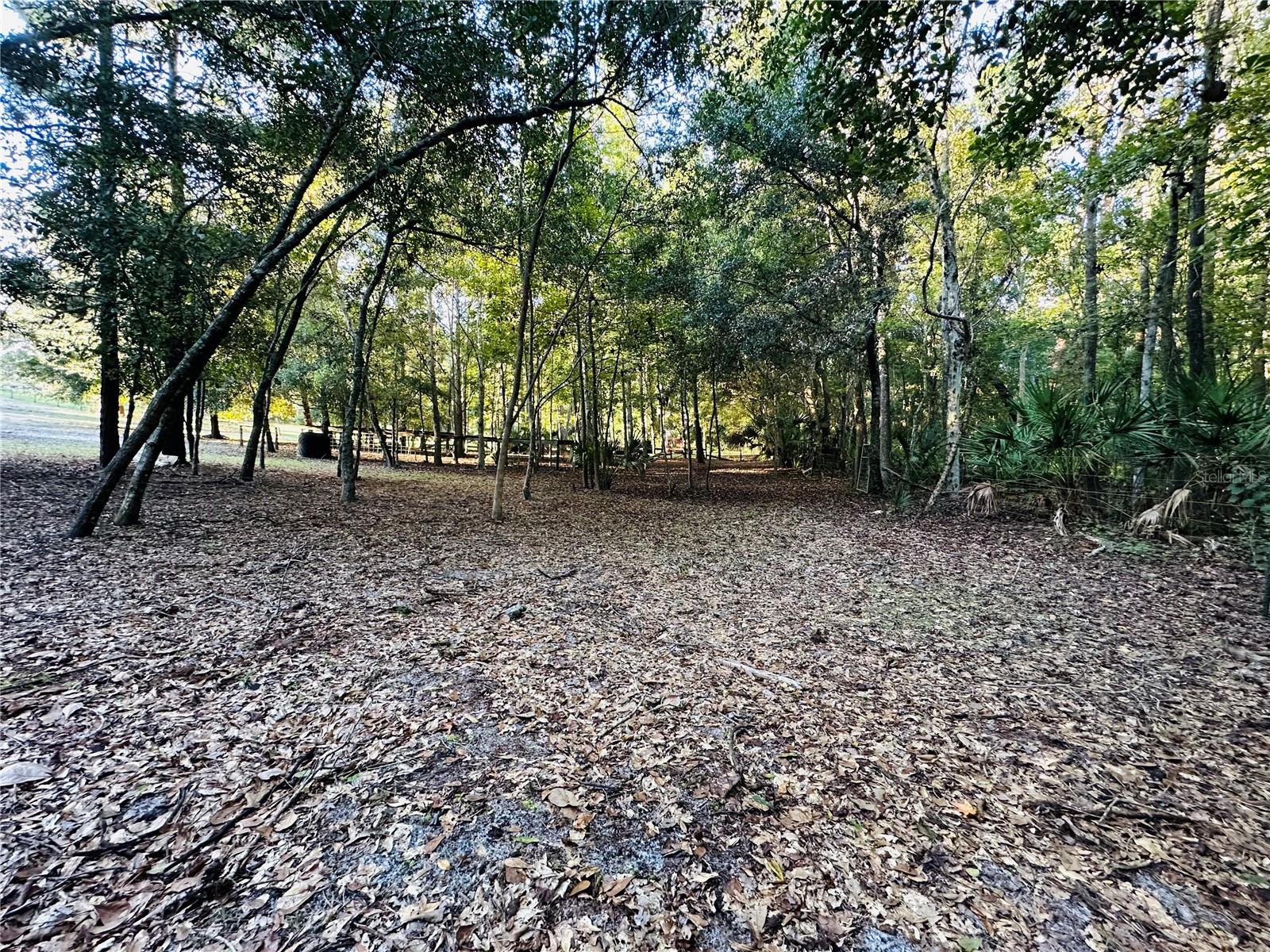 1889 Ranchland Trl Property Photo 48
