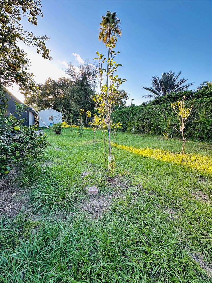 1889 Ranchland Trl Property Photo 51