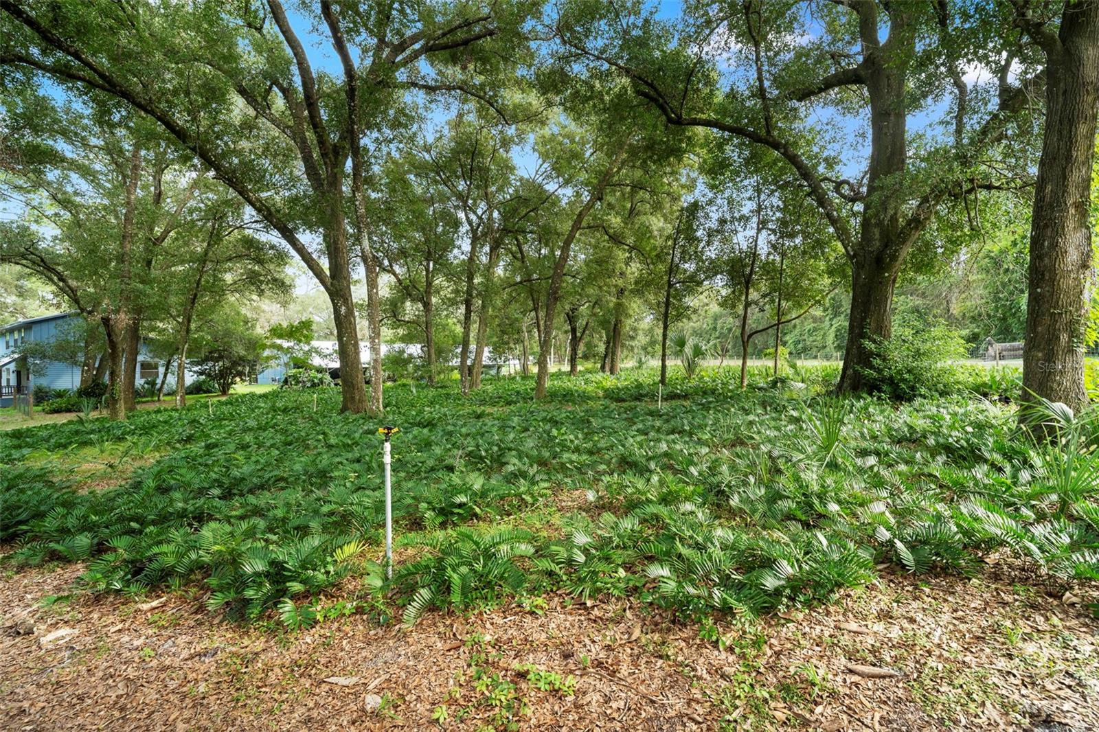 1268 Mcgregor Rd Property Photo 41