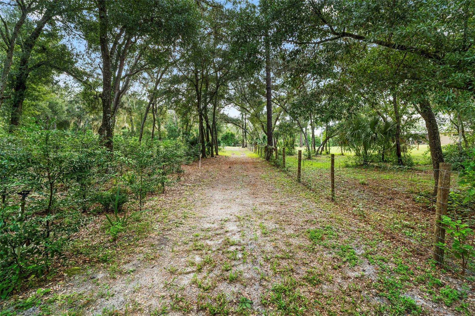 1268 Mcgregor Rd Property Photo 42