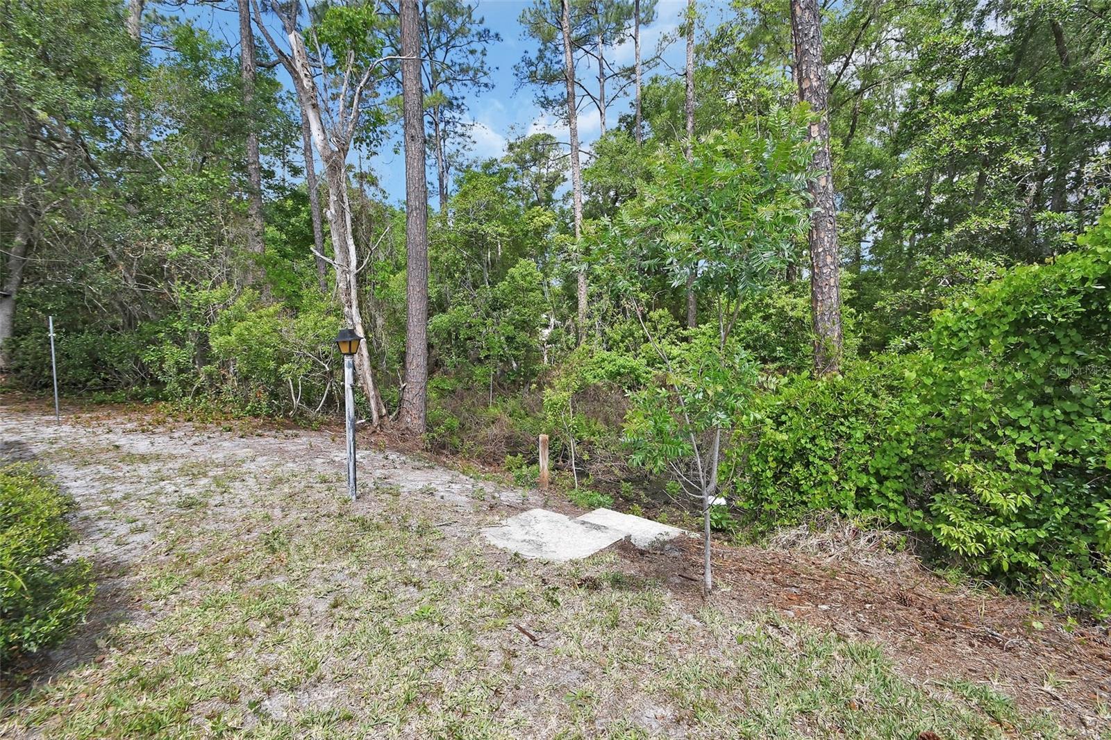 25801 Blue Lakes Dr Property Photo 23