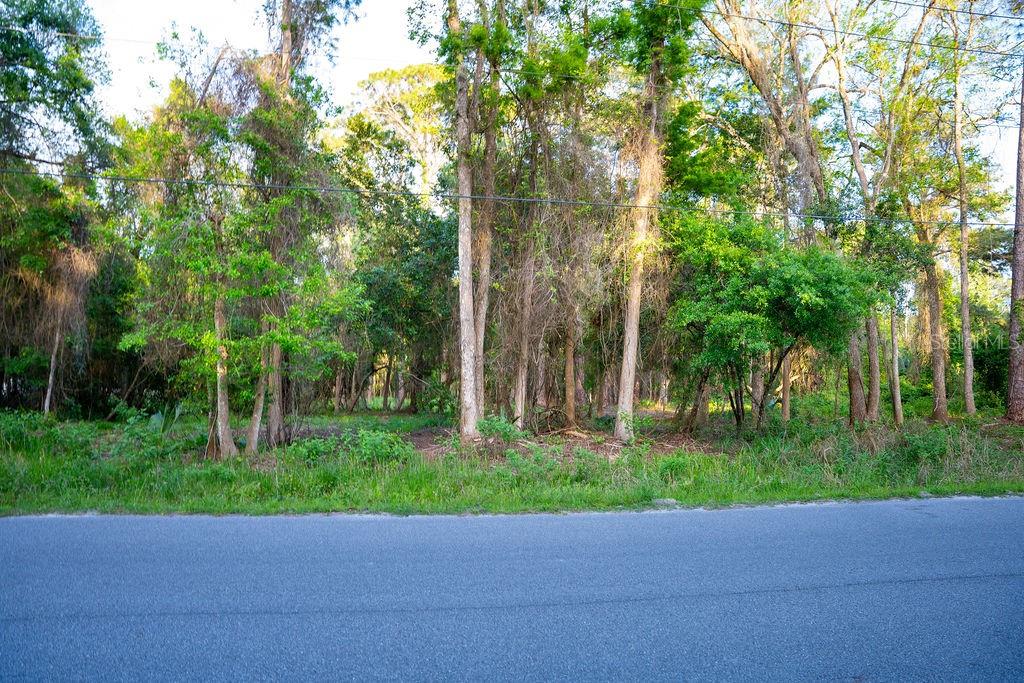 172 Whispering Pines Rd Property Photo 3