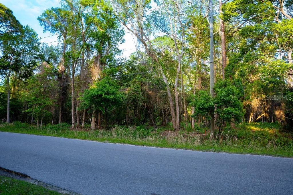 172 Whispering Pines Rd Property Photo 4