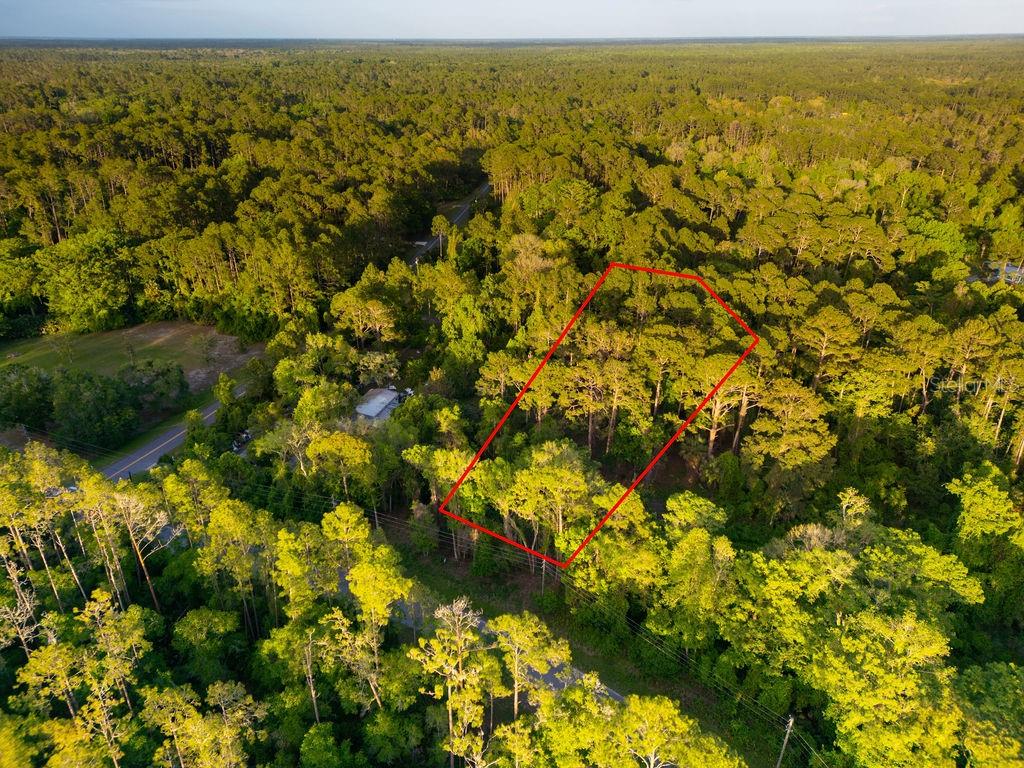 172 Whispering Pines Rd Property Photo 10