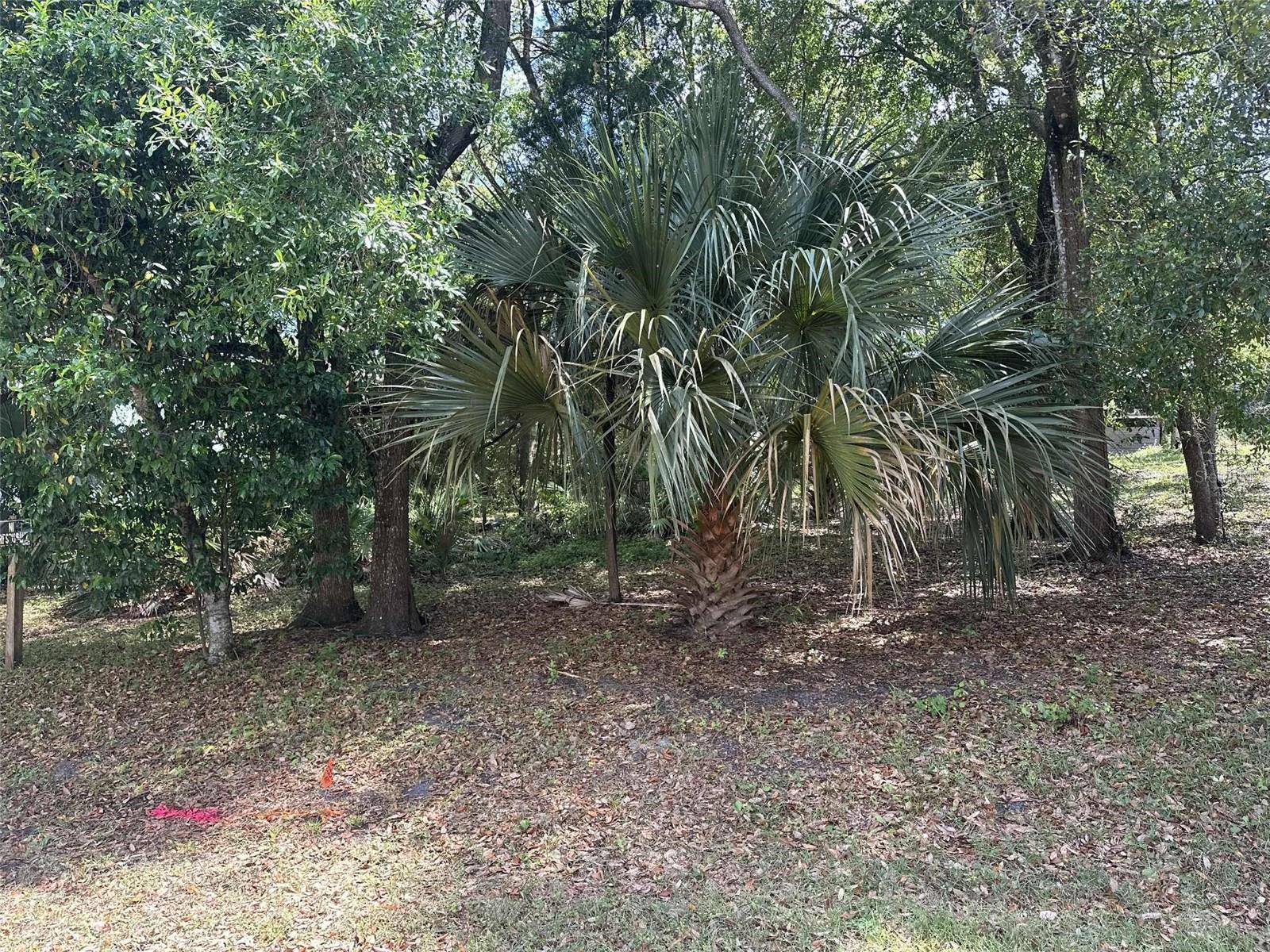 E ELM DR Property Photo 1